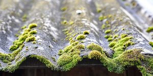how to remove moss from roof​