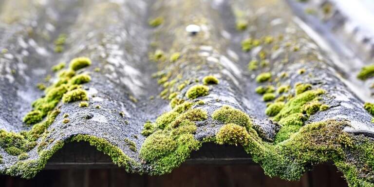 how to remove moss from roof​
